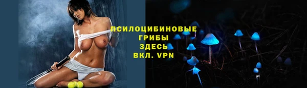 не бодяженный Сосновоборск